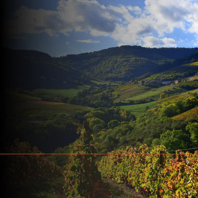 Motortocht door de Beaujolais en de Monts du Lyonnais