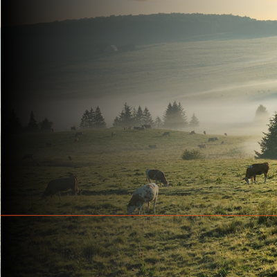 Op de Route de l'Aubrac: Een motorroute die je niet mag missen