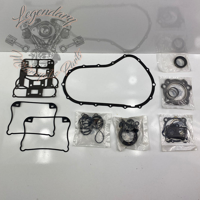 Engine gasket set OEM 17027-04