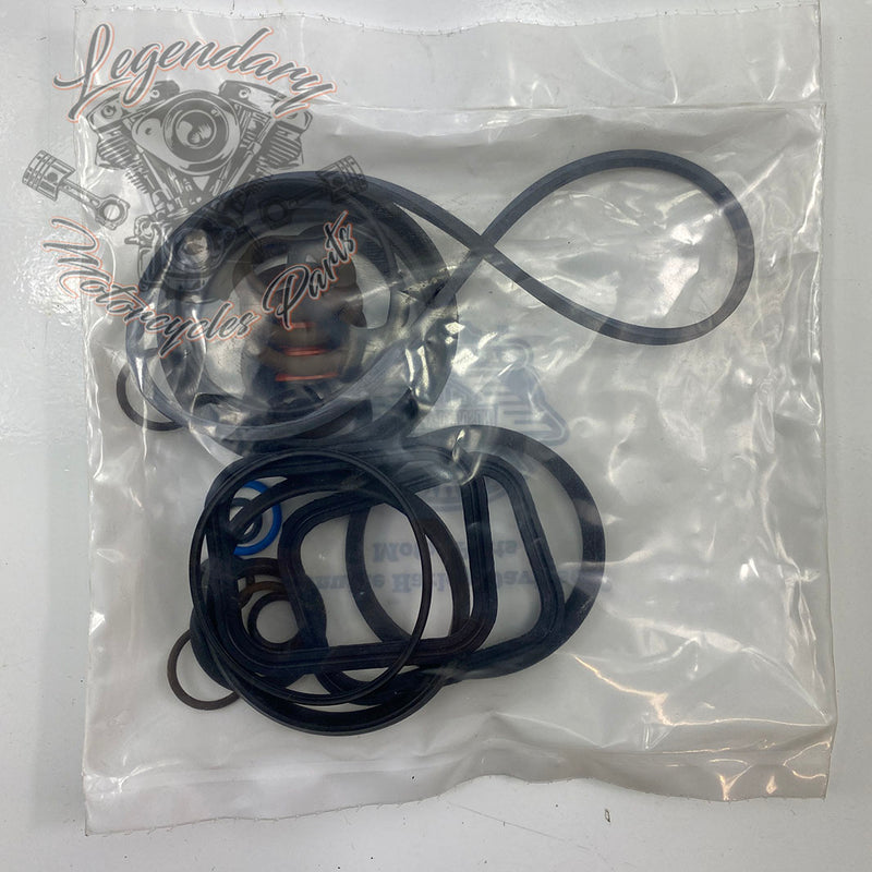 Engine gasket set OEM 17027-04