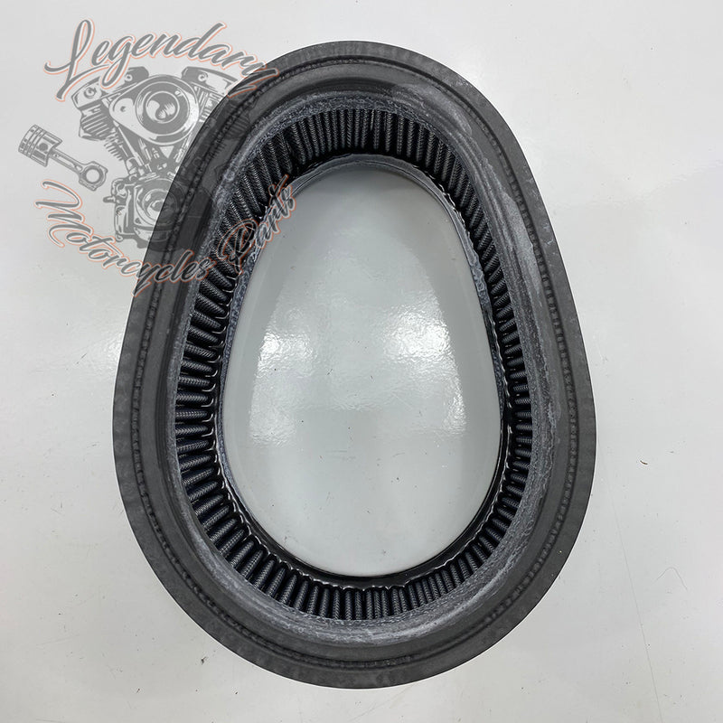 Filtro aria OEM 29388-02YB