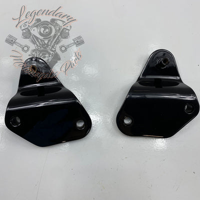 Kit di viti di ancoraggio rimovibili per sissy bar OEM 54249-09