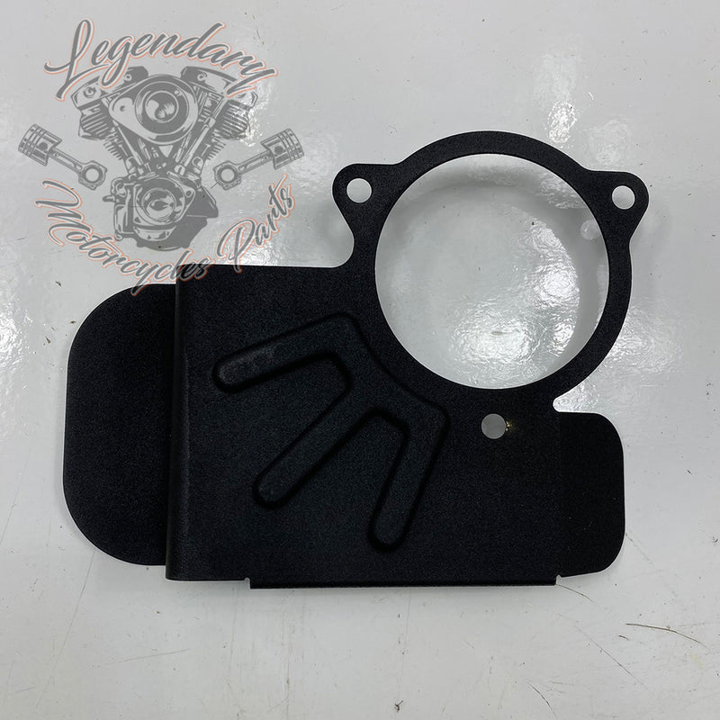 Throttle Body Cover OEM 29009-08