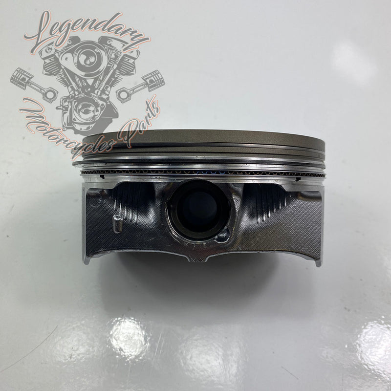 Pistons OEM 21900049