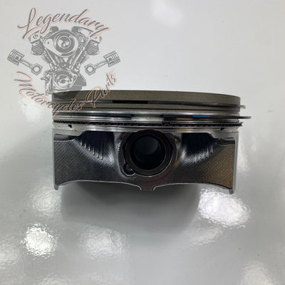 Pistons OEM 21900049