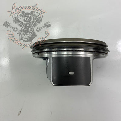 Pistones OEM 21900049