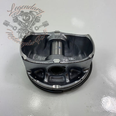 Pistons OEM 21900049