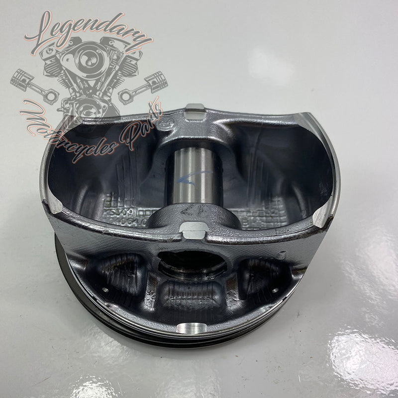 Pistons OEM 21900049