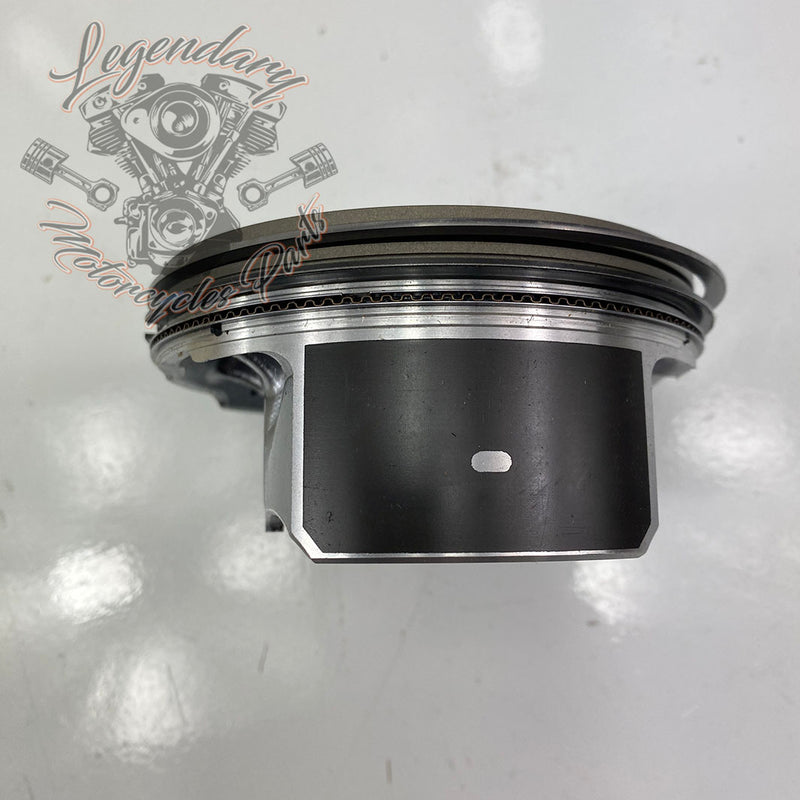 Pistons OEM 21900049