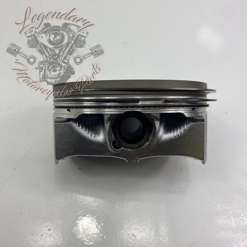 Pistons OEM 21900049