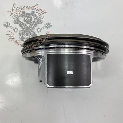 Pistons OEM 21900049