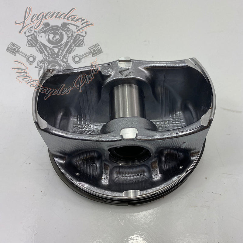 Pistons OEM 21900049