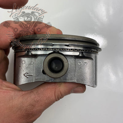 Pistons OEM 21989-07