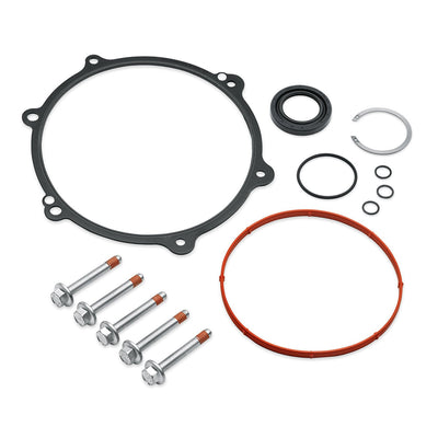 Kit di guarnizione interna del carter primario - OEM 25700337