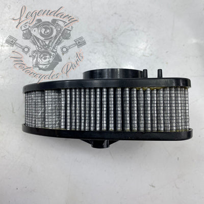 Air Filter OEM 29000116