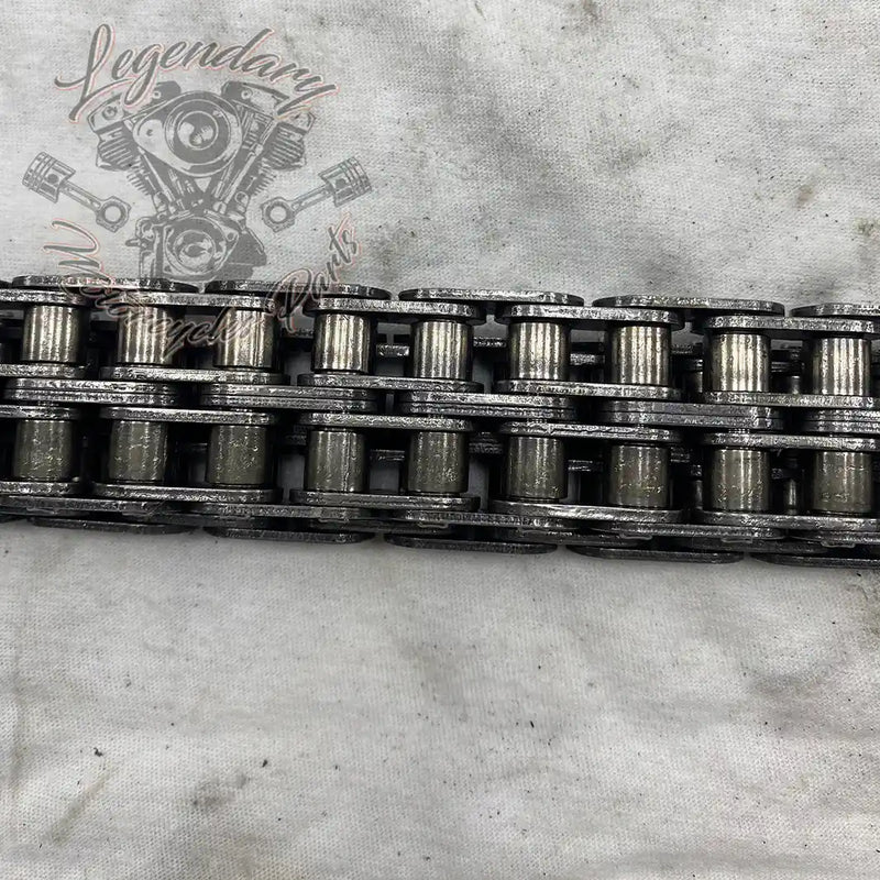 Primary Chain OEM 40036-06