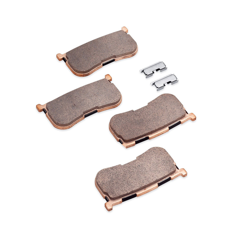 Rear Brake Pads - OEM 41300033