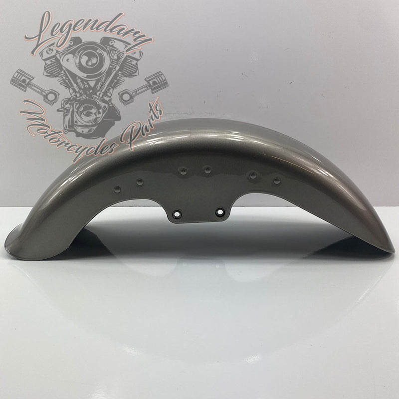 Front mudguard OEM 59139-00