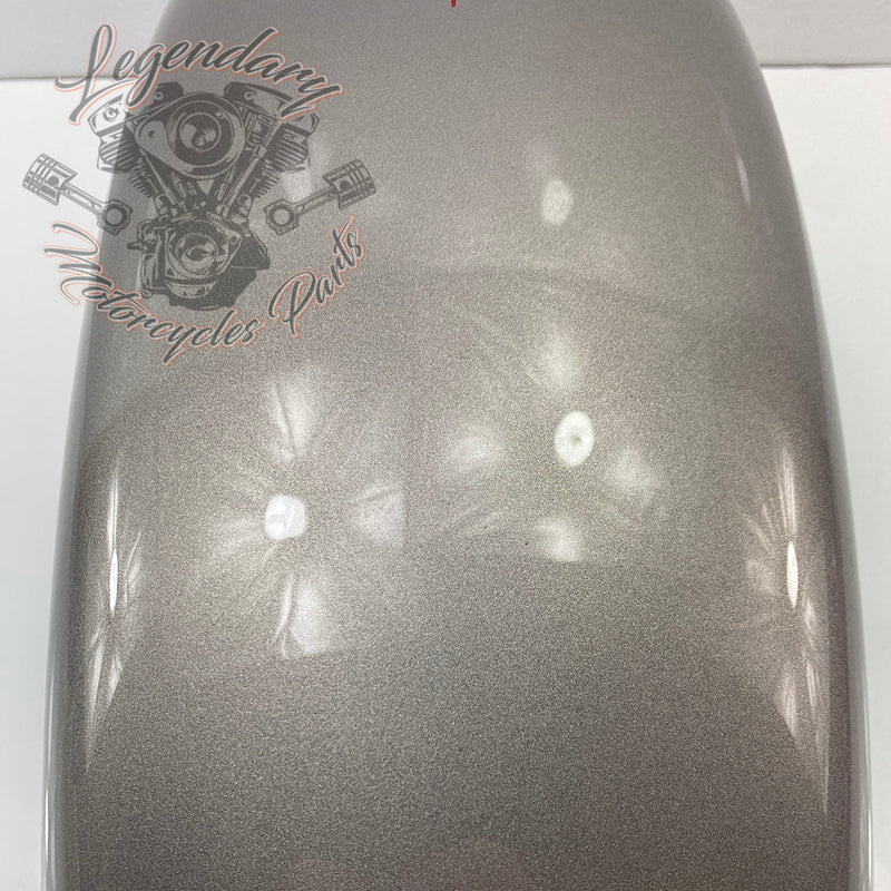 Front mudguard OEM 59139-00