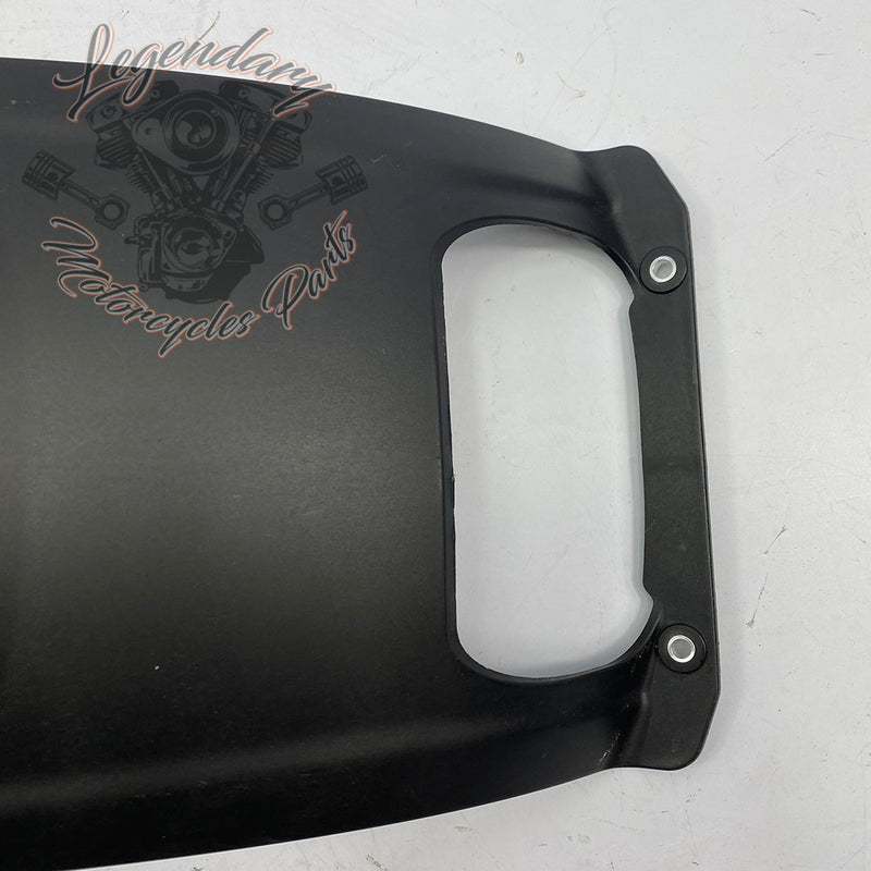 Rear Mudguard OEM 59600039