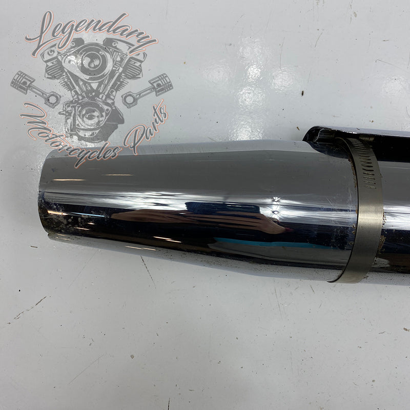 Silencer OEM 64900419