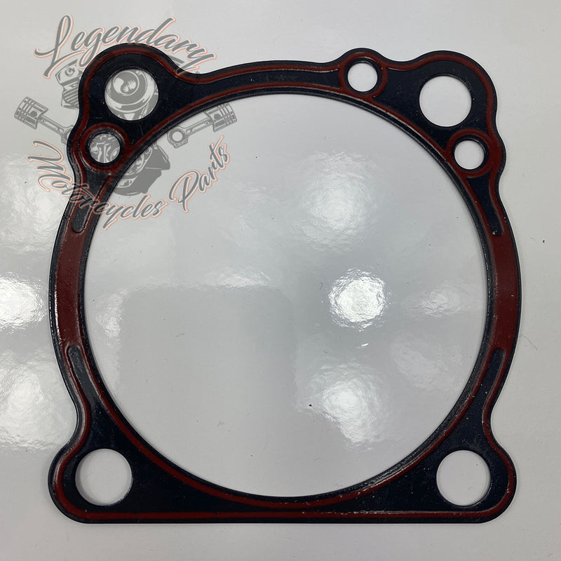 Base Gasket OEM 789358