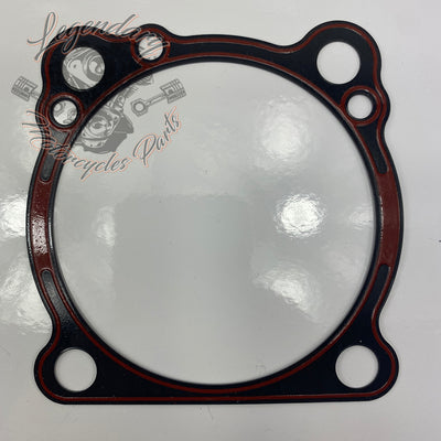 Base Gasket OEM 789358