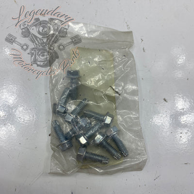 Screw OEM AA0406.21CRZ