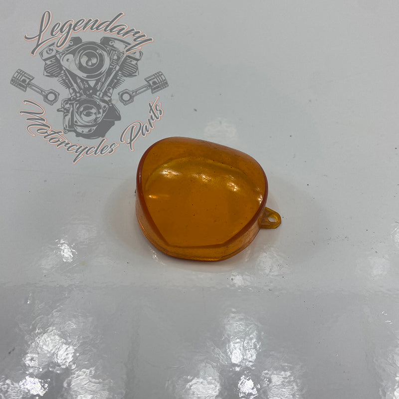 Cabochon de pisca