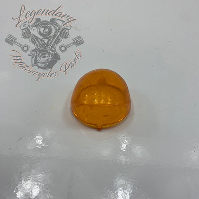 Cabochon de pisca