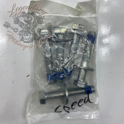 Kit de vis de couronne OEM 3109