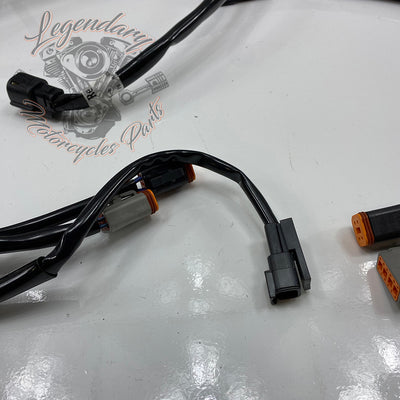 Conjunto de luz traseira OEM 69201095