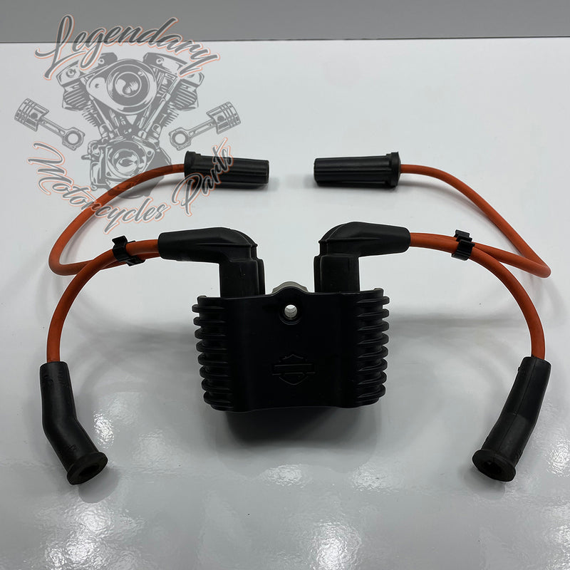 Ignition Coil OEM 31600067