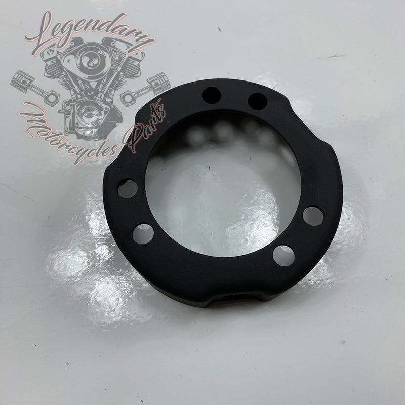 Terminali silenziatori Screamin Eagle OEM 65100048