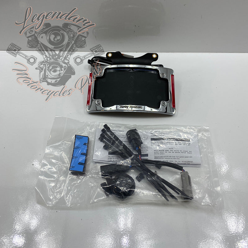 Entorno de placa curvado con iluminación LED OEM 67900275