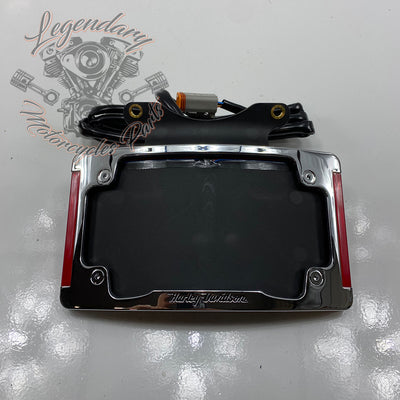 Curved license plate surround with LED lighting OEM 67900275