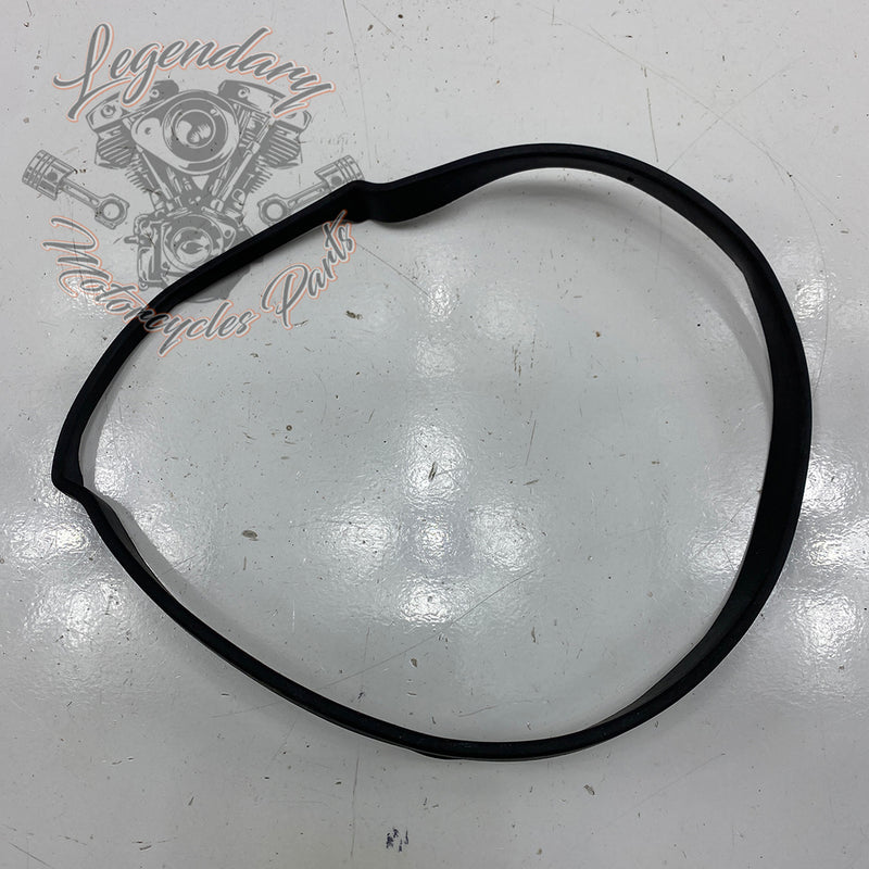 Air Box Gasket OEM 29000026