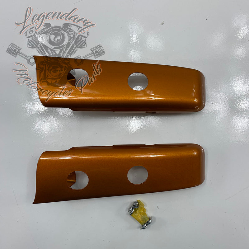 Luggage/fender filler trim OEM 90200874DST