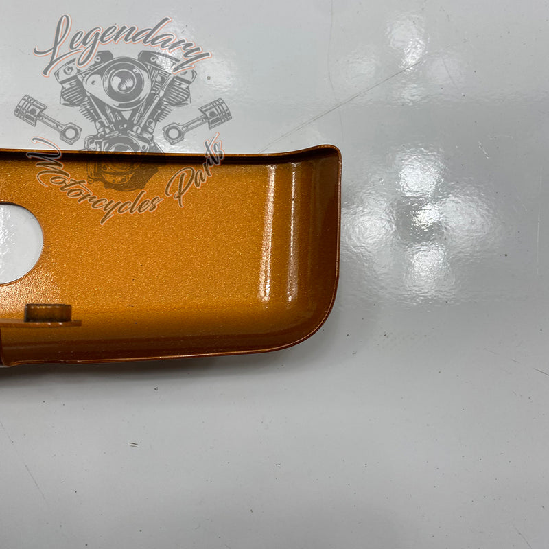 Luggage/fender filler trim OEM 90200874DST