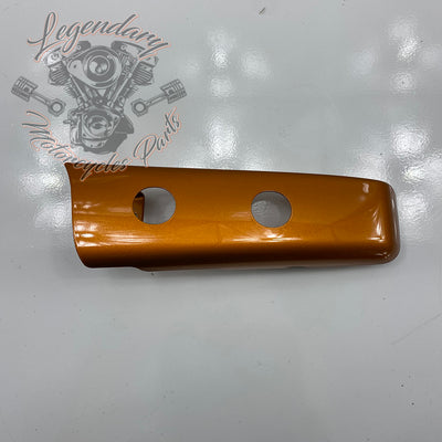 Luggage/fender filler trim OEM 90200874DST