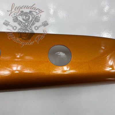 Luggage/fender filler trim OEM 90200874DST