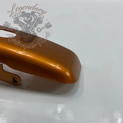 Luggage/fender filler trim OEM 90200874DST