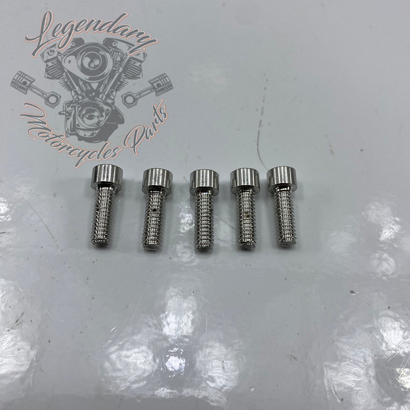 Fuel Gauge Screw Kit OEM 32751-01