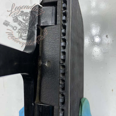 Passenger Footpeg OEM 52719-10