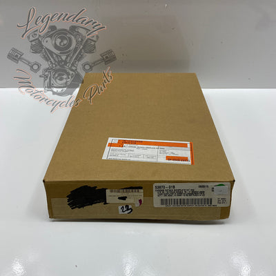 Boczne mocowania sissy baru OEM 53870-01B