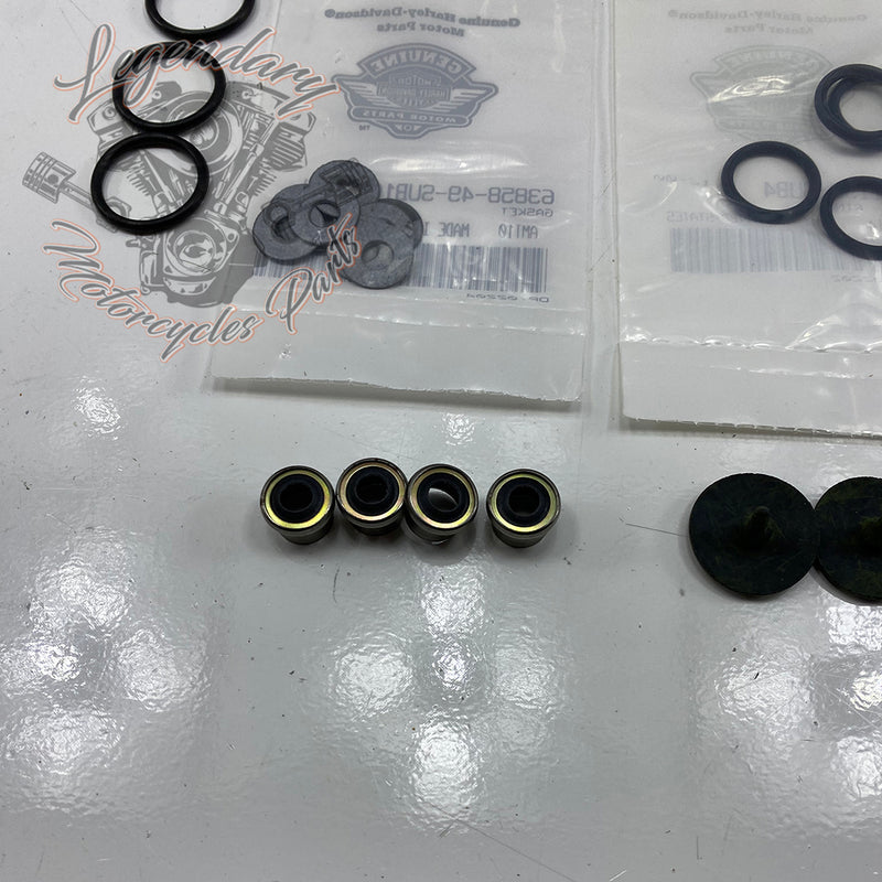 Kit guarnizioni motore OEM 17046-98