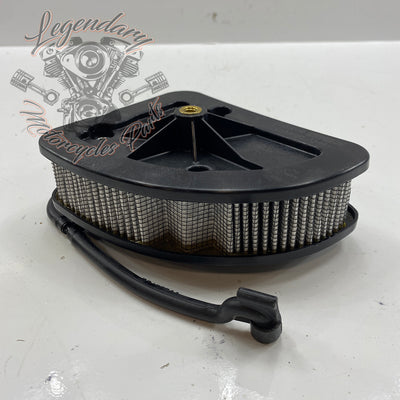 Air Filter OEM 29400212