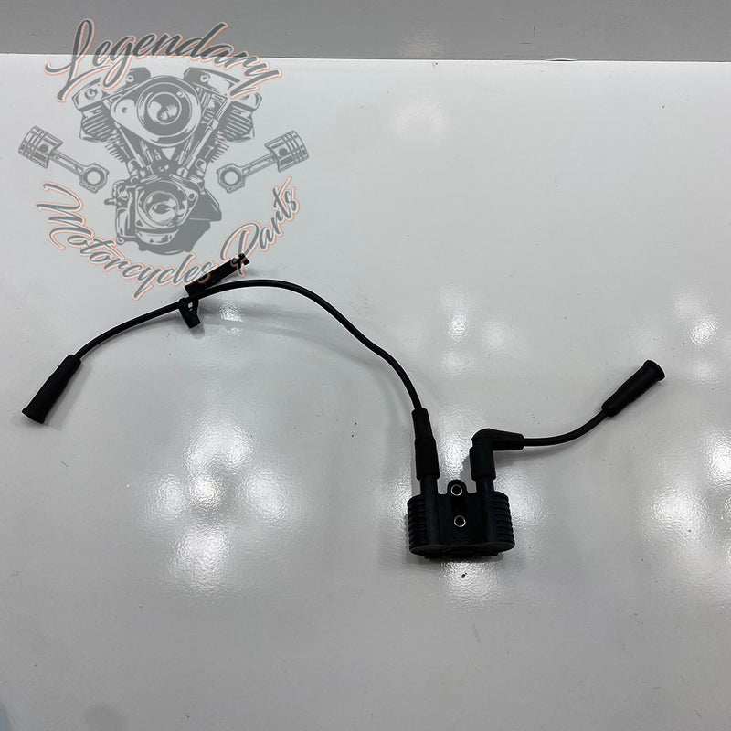 Zündspule und Zündkerzenkabel OEM 31656-07