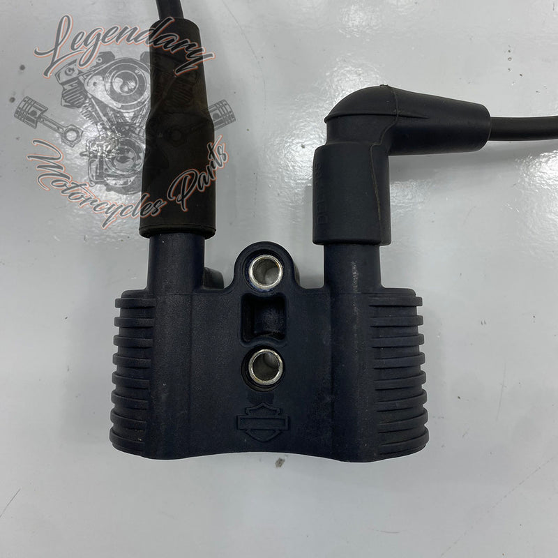 Bobine en bougiekabel OEM 31656-07