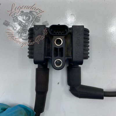 Bobina y cable de bujía OEM 31656-07